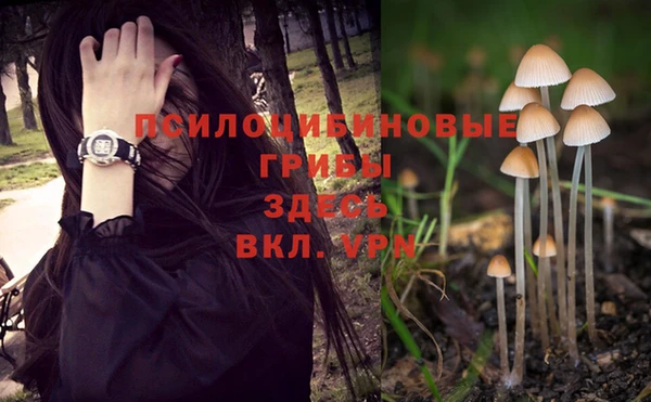 a pvp Надым
